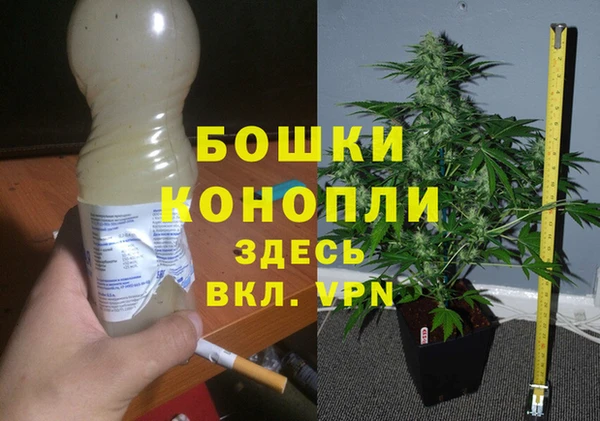 герыч Арсеньев