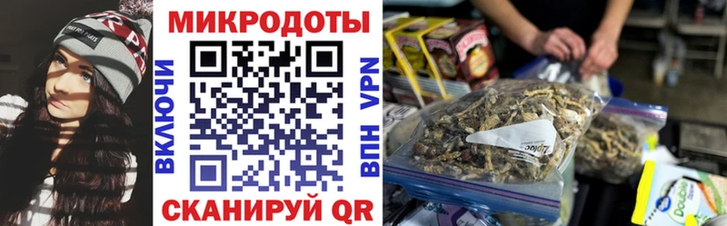Галлюциногенные грибы прущие грибы Темрюк