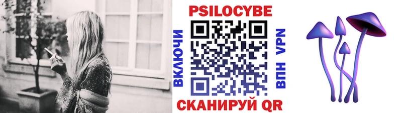 Галлюциногенные грибы прущие грибы  Темрюк 